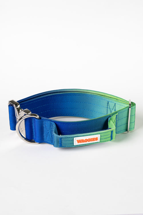 Waggies Original Collar